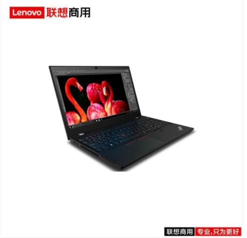 联想（lenovo）ThinkPad P15v I7-10750H/64G/2.5T/P620 4G/红外/人脸/指纹/15.6寸/三年/移动工作站（固态硬盘）