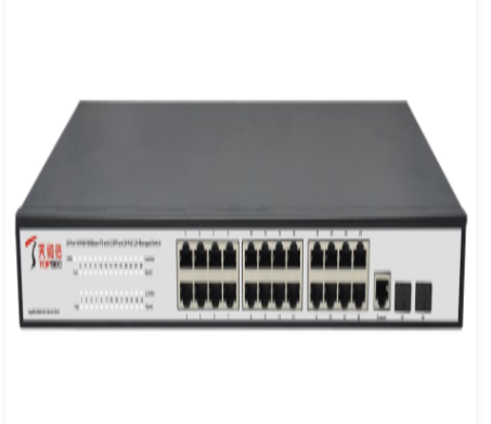 天融信智慧无线管理系统V3 TopSW 5000 S51100-24T2S-P